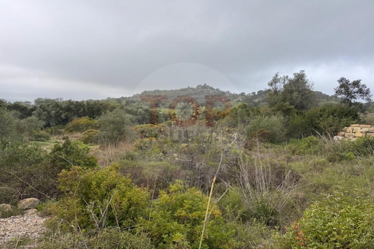 Terreno Rustico em Estoi