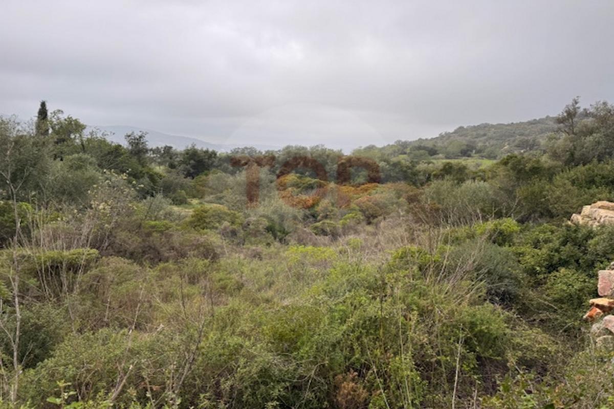 Terreno Rustico em Estoi