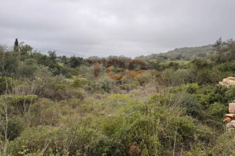 Terreno Rustico em Estoi