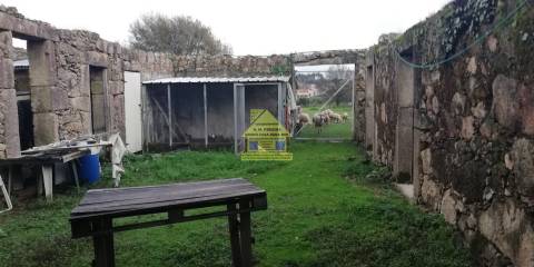 CPM20277 Moradia / Quintinha c/ + 6.000m2  182.500,00€ a 31,00€/m2, em V N. Gaia, Porto