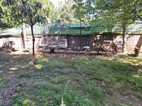 CPM20406 Moradia T3+1 Bordonhos,  Viseu à EN227,  4 frentes c terreno Estrada Principal perto Escola