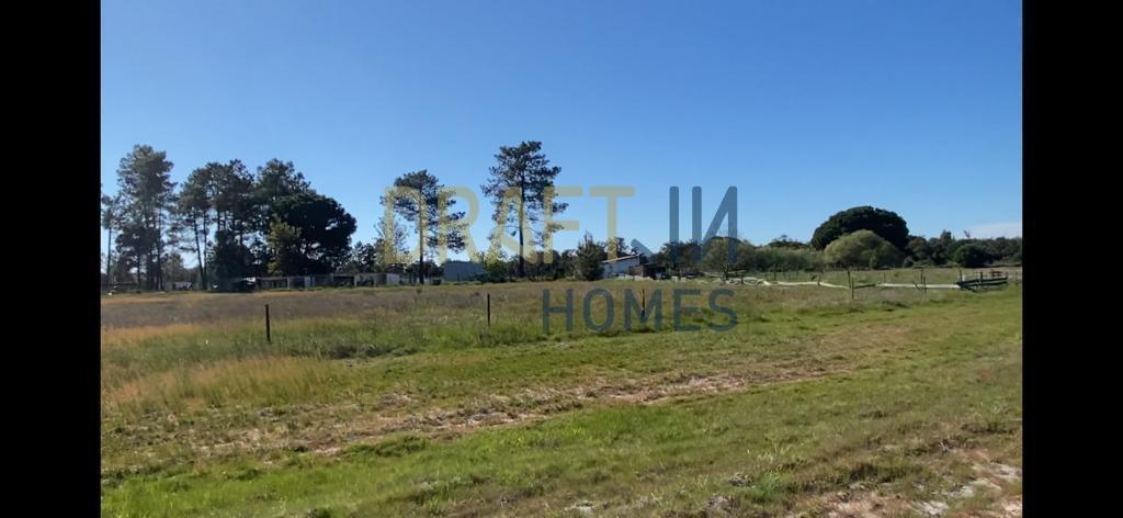 Terreno  com casa para recuperar ou para construção nova de raiz projeto aprovado Grândola
