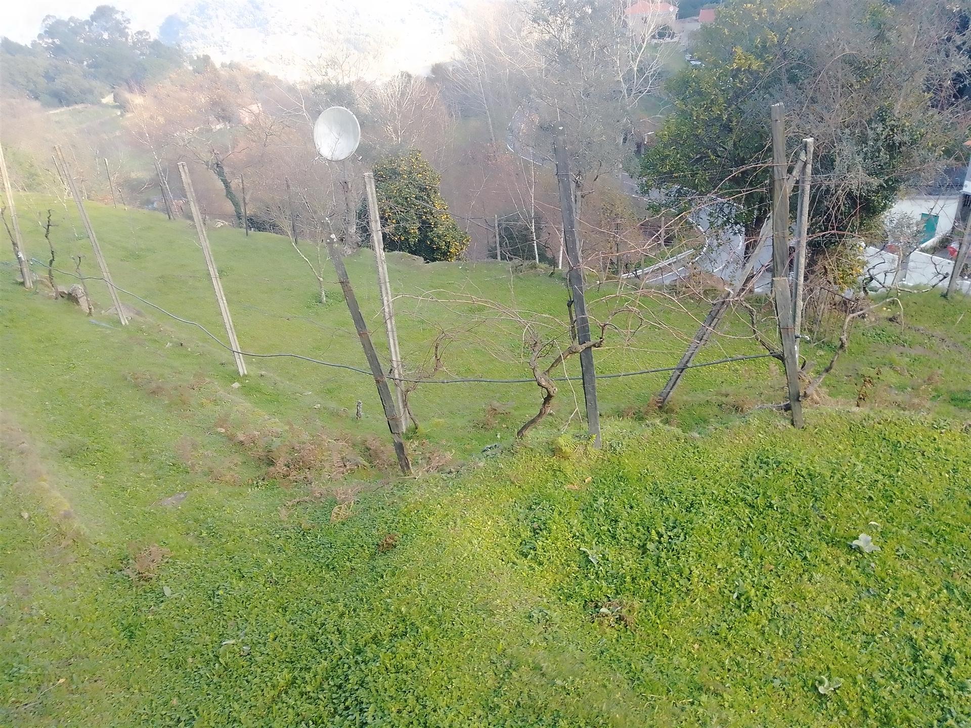 Terreno Rústico em Cinfães - Viseu Venda de Terreno em Cinfães - Viseu