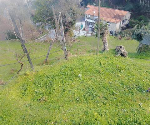 Terreno Rústico em Cinfães - Viseu Venda de Terreno em Cinfães - Viseu