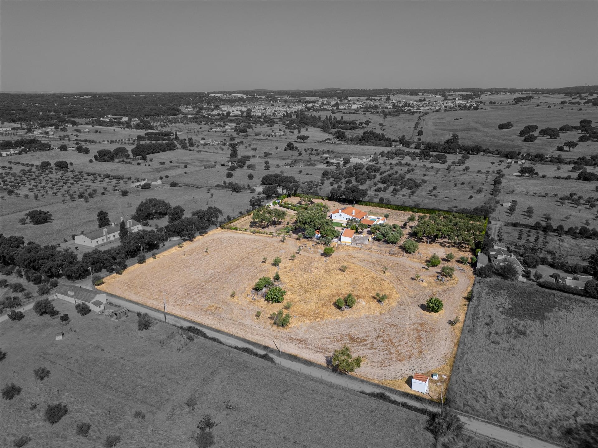 Quinta dos Sobreiros Velhos  - Azaruja - São Bento do Mato