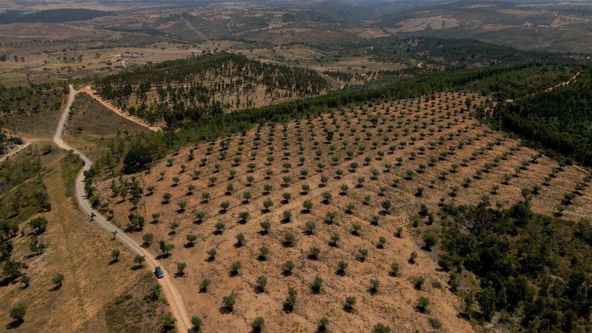 194,45 Hectares | 1 km de Frente Privada para o Rio Tejo | Portugal