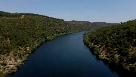 194,45 Hectares | 1 km de Frente Privada para o Rio Tejo | Portugal