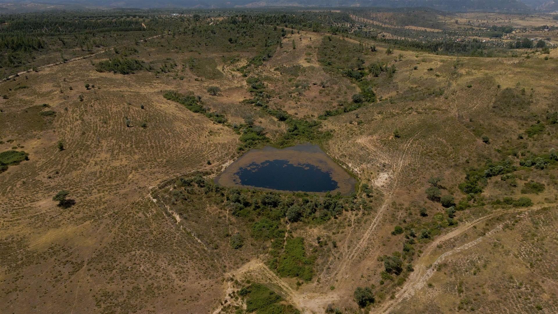 194,45 Hectares | 1 km de Frente Privada para o Rio Tejo | Portugal