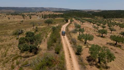 194,45 Hectares | 1 km de Frente Privada para o Rio Tejo | Portugal