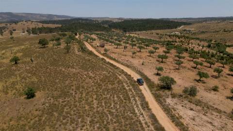 194,45 Hectares | 1 km de Frente Privada para o Rio Tejo | Portugal