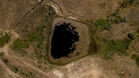 194,45 Hectares | 1 km de Frente Privada para o Rio Tejo | Portugal