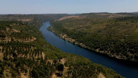 194,45 Hectares | 1 km de Frente Privada para o Rio Tejo | Portugal