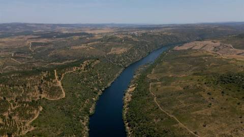 194,45 Hectares | 1 km de Frente Privada para o Rio Tejo | Portugal