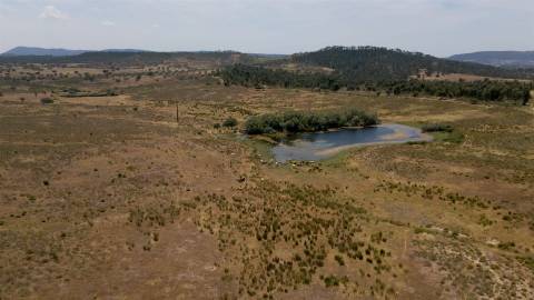 194,45 Hectares | 1 km de Frente Privada para o Rio Tejo | Portugal