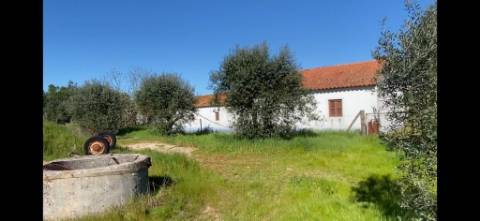 Terreno em Grândola com projeto aprovado