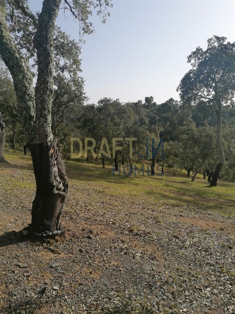 Terreno Rústico  Venda em Melides,Grândola