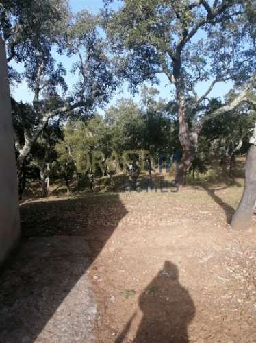 Terreno Rústico  Venda em Melides,Grândola