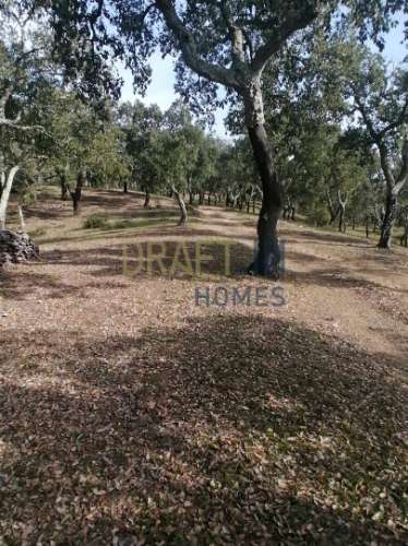 Terreno Rústico  Venda em Melides,Grândola