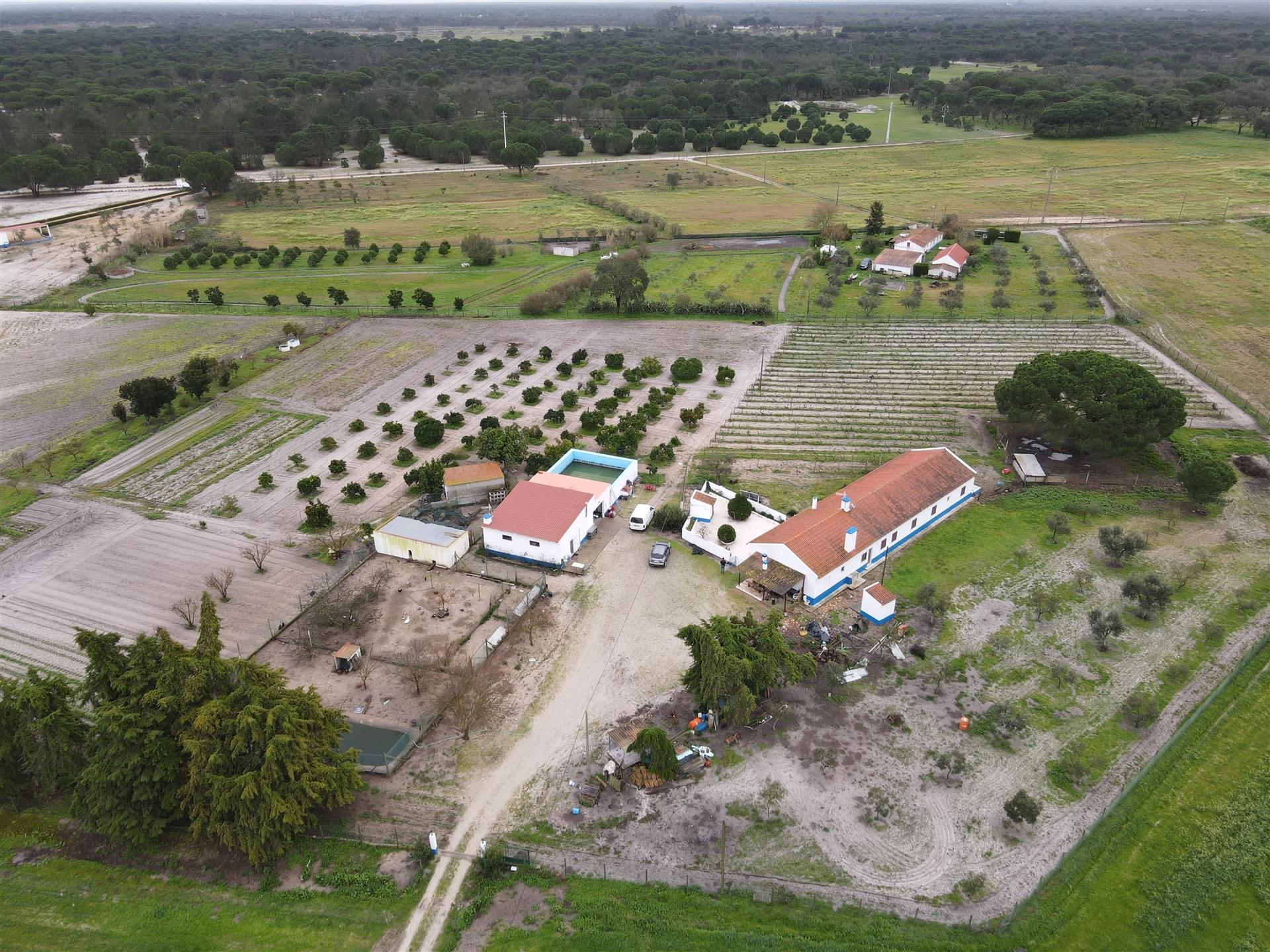 Quinta T4+2 no Alentejo