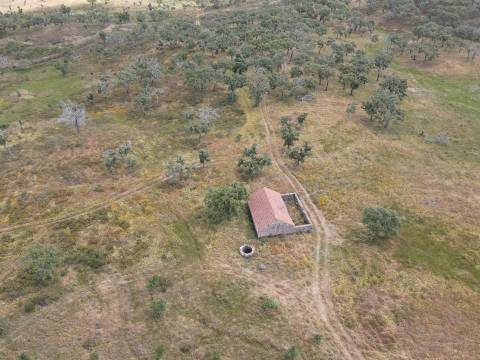 Terreno Rústico  Venda em Grândola e Santa Margarida da Serra,Grândola