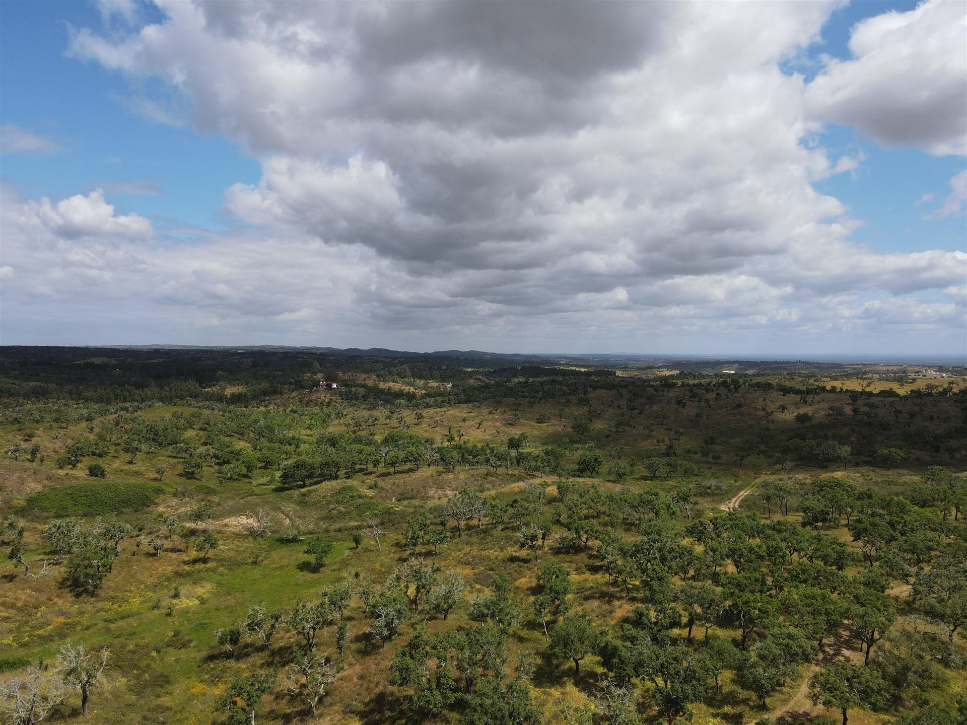 Terreno Rústico  Venda em Grândola e Santa Margarida da Serra,Grândola
