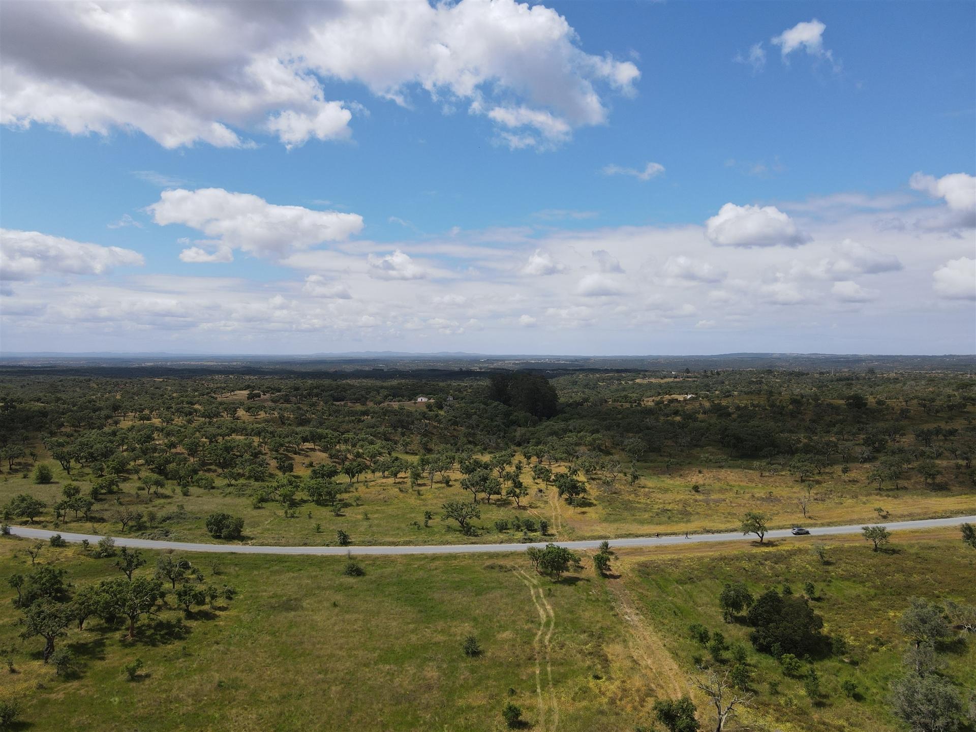 Terreno Rústico  Venda em Grândola e Santa Margarida da Serra,Grândola