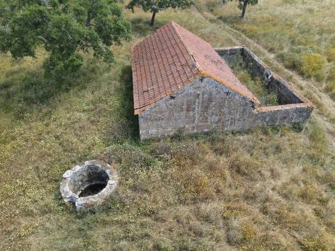 Terreno Rústico  Venda em Grândola e Santa Margarida da Serra,Grândola
