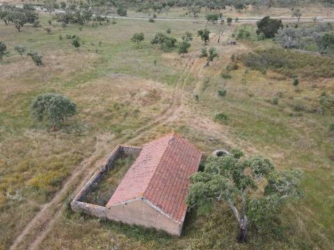 Terreno Rústico  Venda em Grândola e Santa Margarida da Serra,Grândola