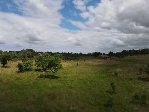 Terreno Rústico  Venda em Grândola e Santa Margarida da Serra,Grândola