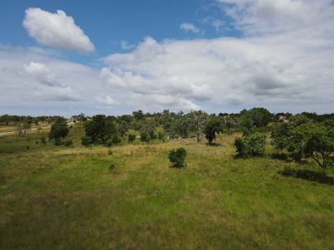 Terreno Rústico  Venda em Grândola e Santa Margarida da Serra,Grândola