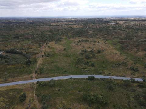Terreno Rústico  Venda em Grândola e Santa Margarida da Serra,Grândola