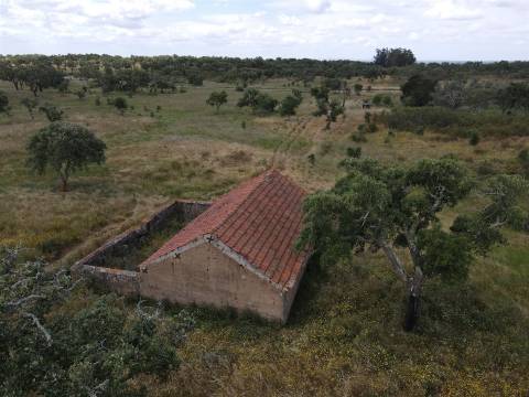 Terreno Rústico  Venda em Grândola e Santa Margarida da Serra,Grândola