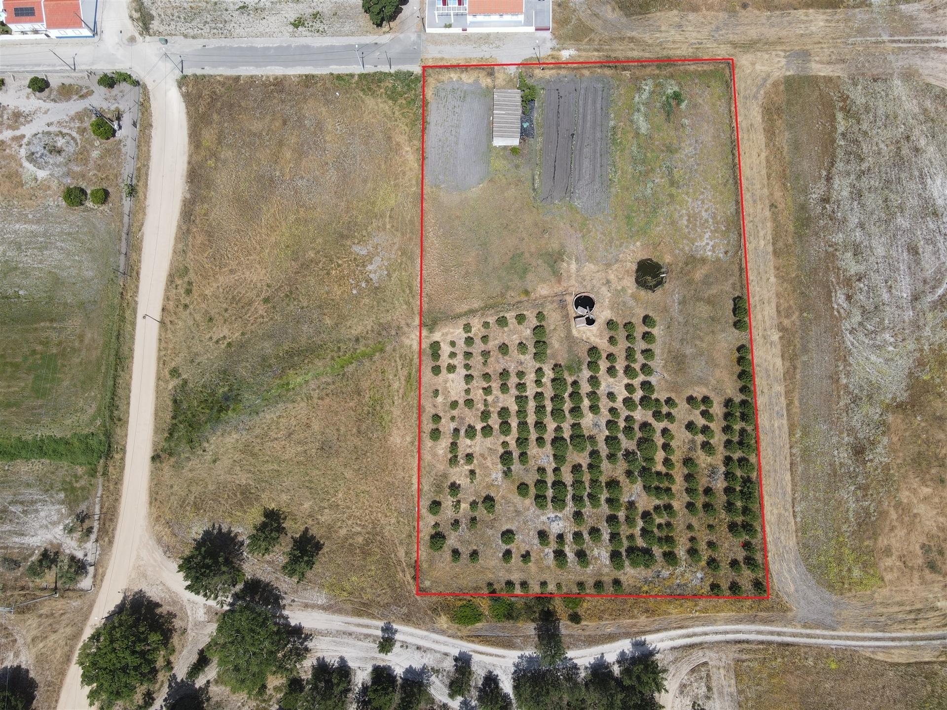 Terreno misto no Alentejo