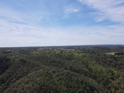 Terreno Rústico  Venda em São Francisco da Serra,Santiago do Cacém