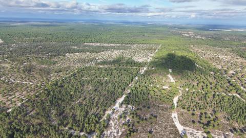 Terreno agrícola em Grândola