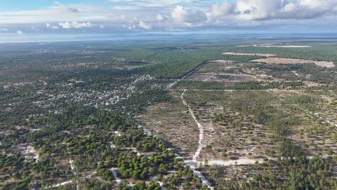 Terreno agrícola em Grândola