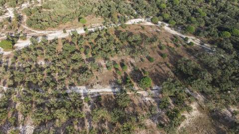 Terreno agrícola em Grândola