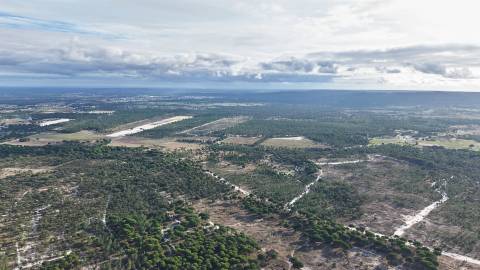 Terreno agrícola em Grândola