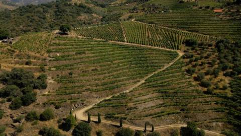 Quinta de Batéu – Douro Vinhateiro