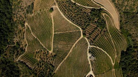 Quinta de Batéu – Douro Vinhateiro