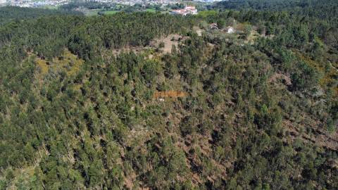 Terreno  Venda em Mire de Tibães,Braga