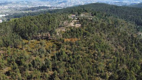 Terreno  Venda em Mire de Tibães,Braga