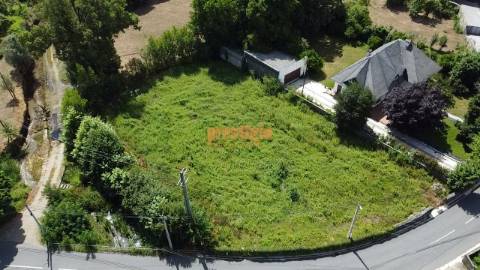 Terreno  Venda em Pico,Vila Verde