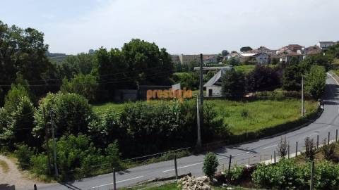 Terreno  Venda em Pico,Vila Verde
