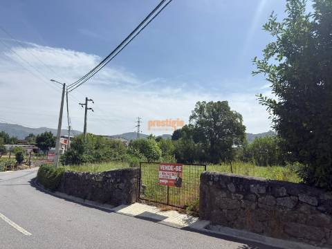 Terreno  Venda em Pico,Vila Verde