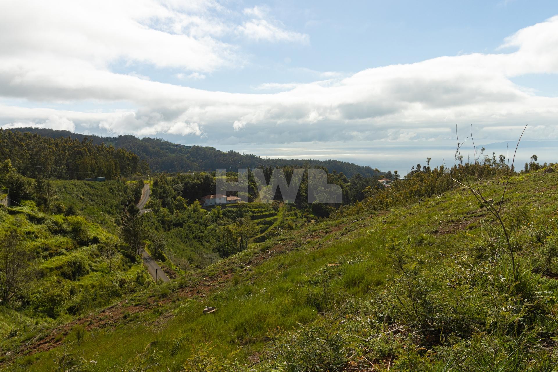 Terreno Para Construção  Venda em Santo António da Serra,Santa Cruz