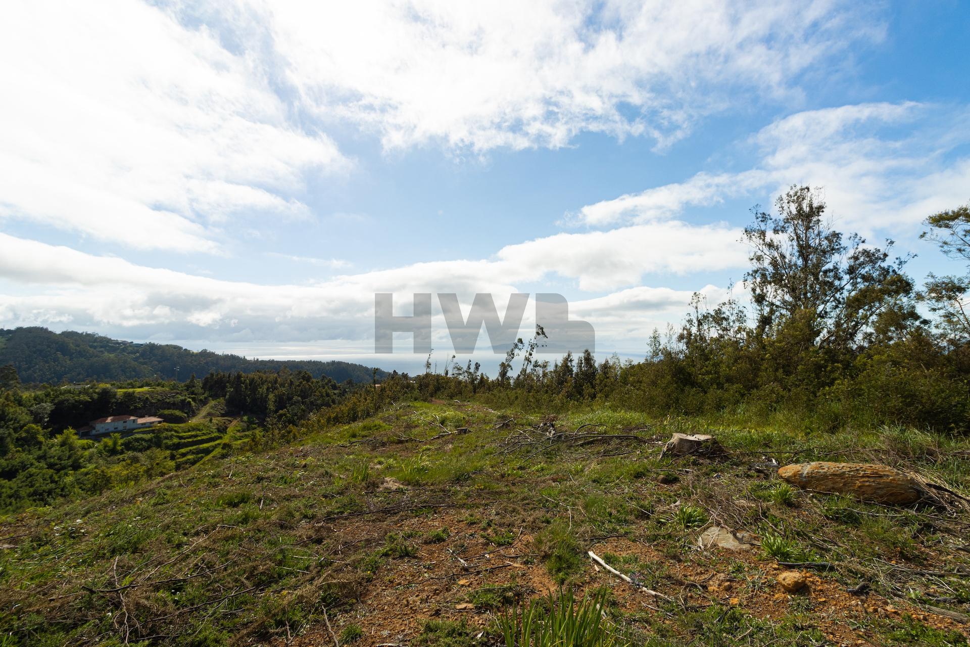Terreno Para Construção  Venda em Santo António da Serra,Santa Cruz