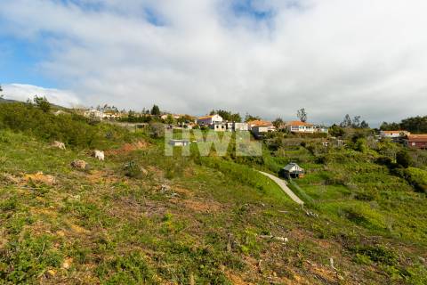 Terreno Para Construção  Venda em Santo António da Serra,Santa Cruz
