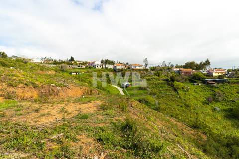Terreno Para Construção  Venda em Santo António da Serra,Santa Cruz