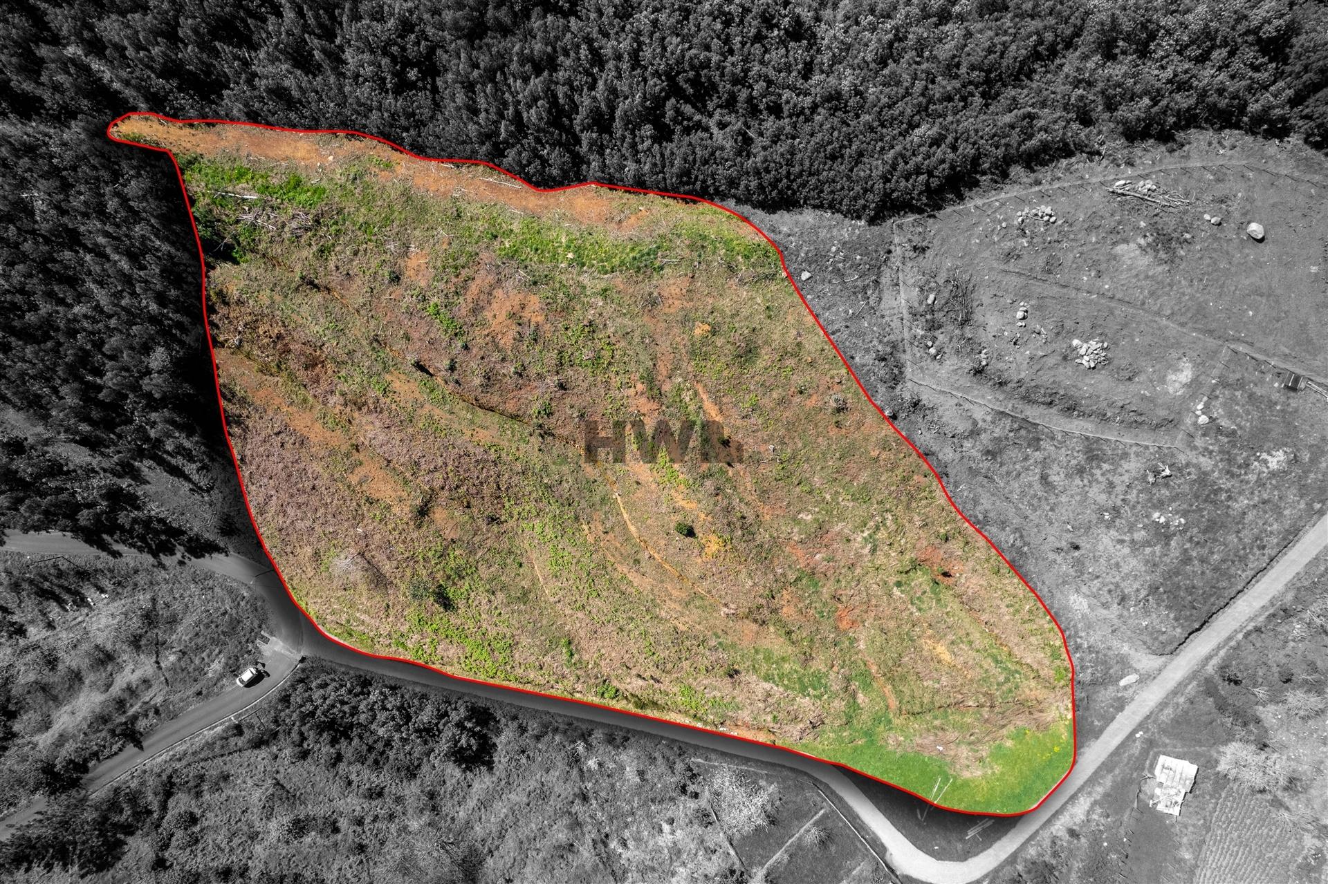 Terreno Para Construção  Venda em Santo António da Serra,Santa Cruz